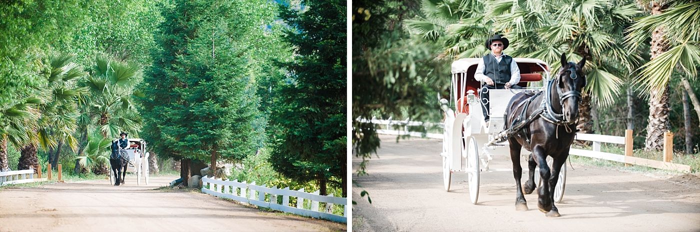 Springville Central Valley california barn wedding ceremony