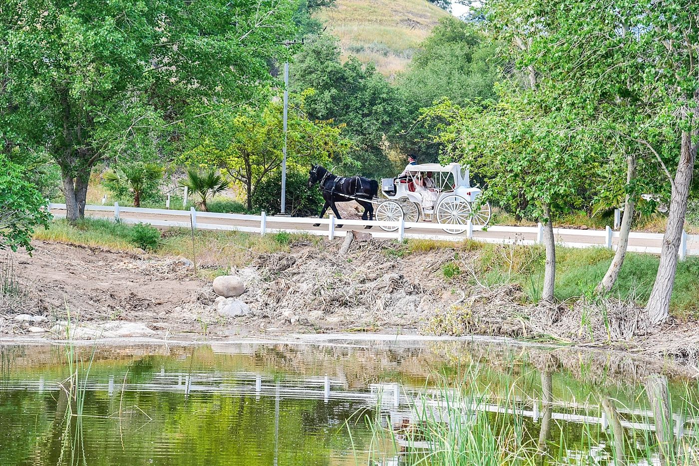 Springville Central Valley california barn wedding ceremony