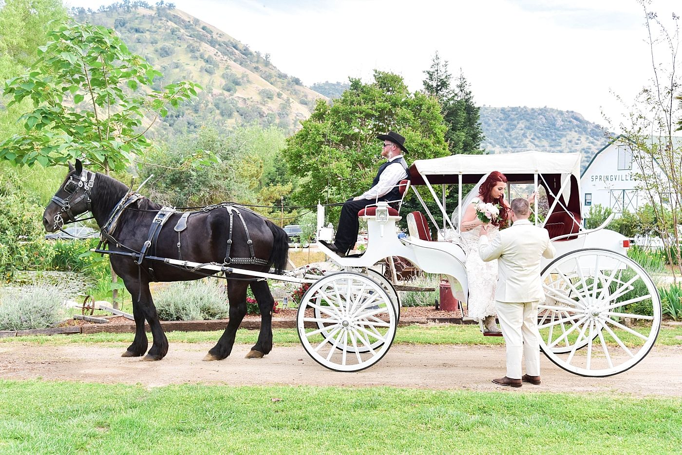 Springville Central Valley california barn wedding ceremony