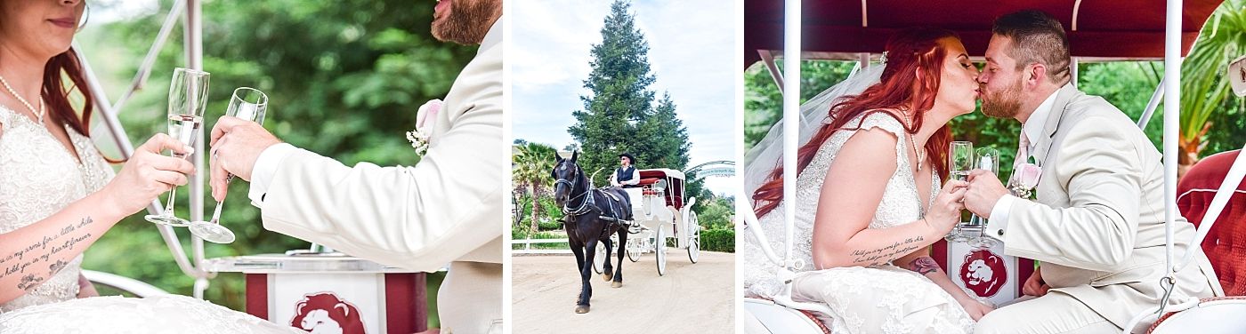 Springville Central Valley california barn wedding
