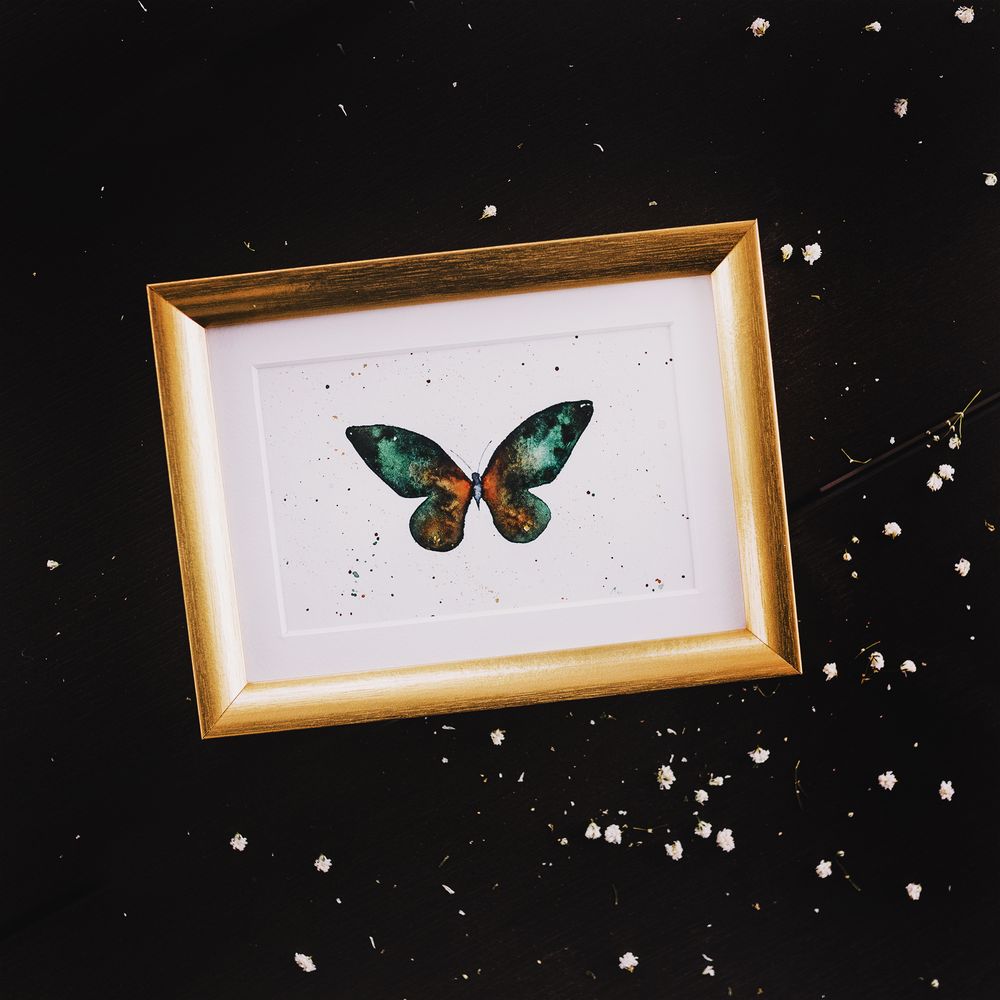 Butterfly watercolors