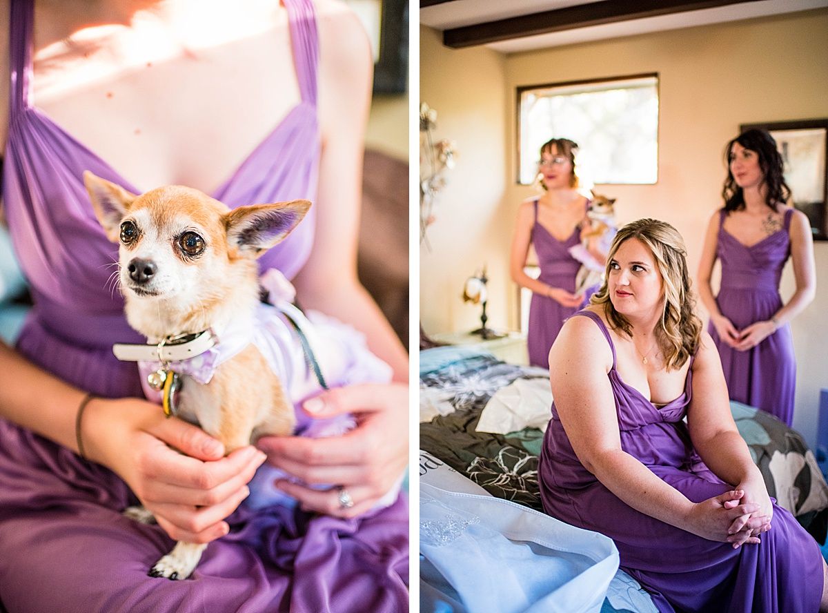 sequoia national park three rivers white horse inn wedding