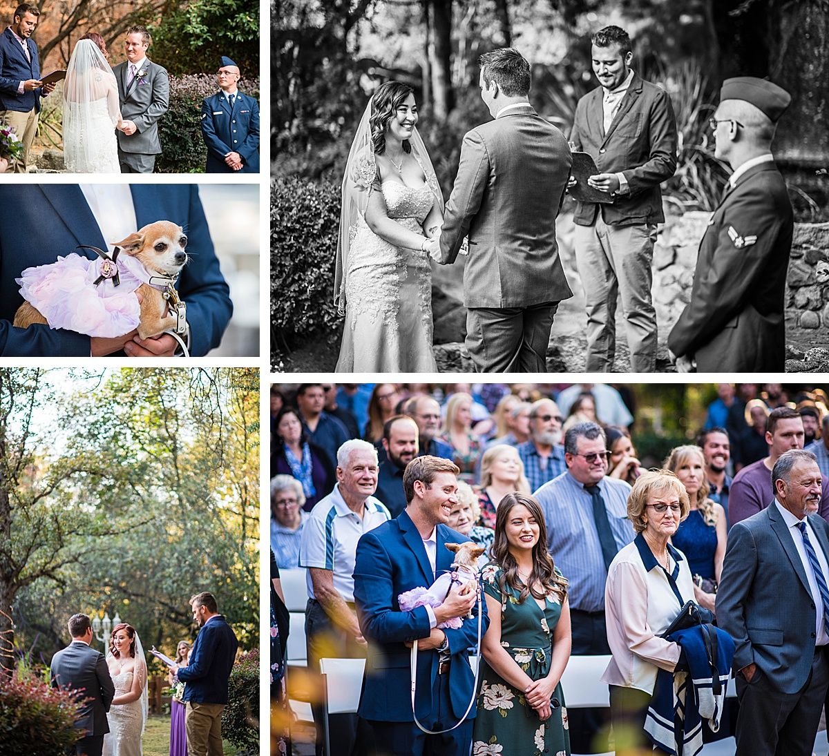 sequoia national park three rivers white horse inn wedding ceremony