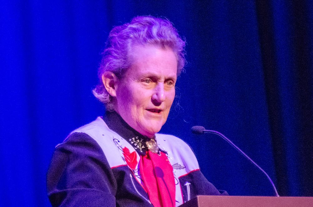 Close-up picture of autism celebrity Temple Grandin speaking on stage.
