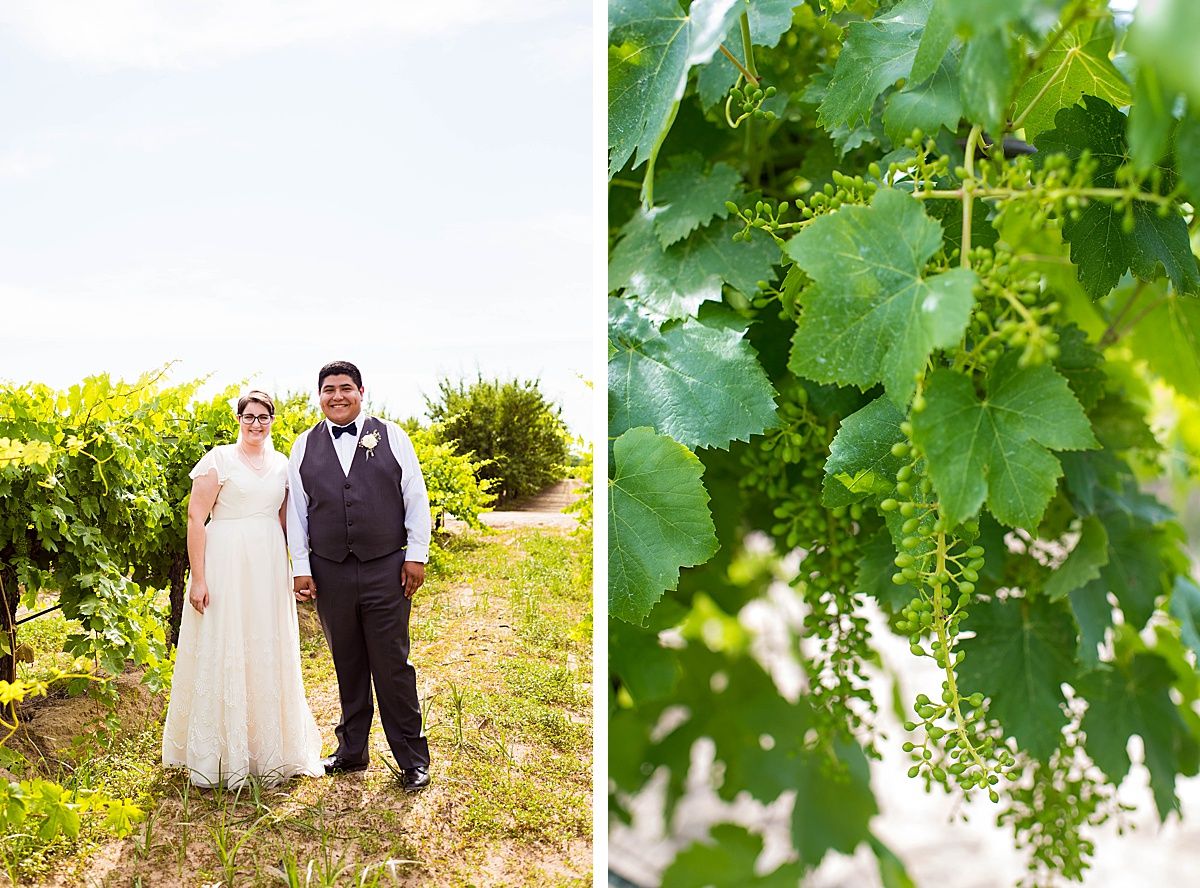 Central Valley California vineyard wine country destination wedding