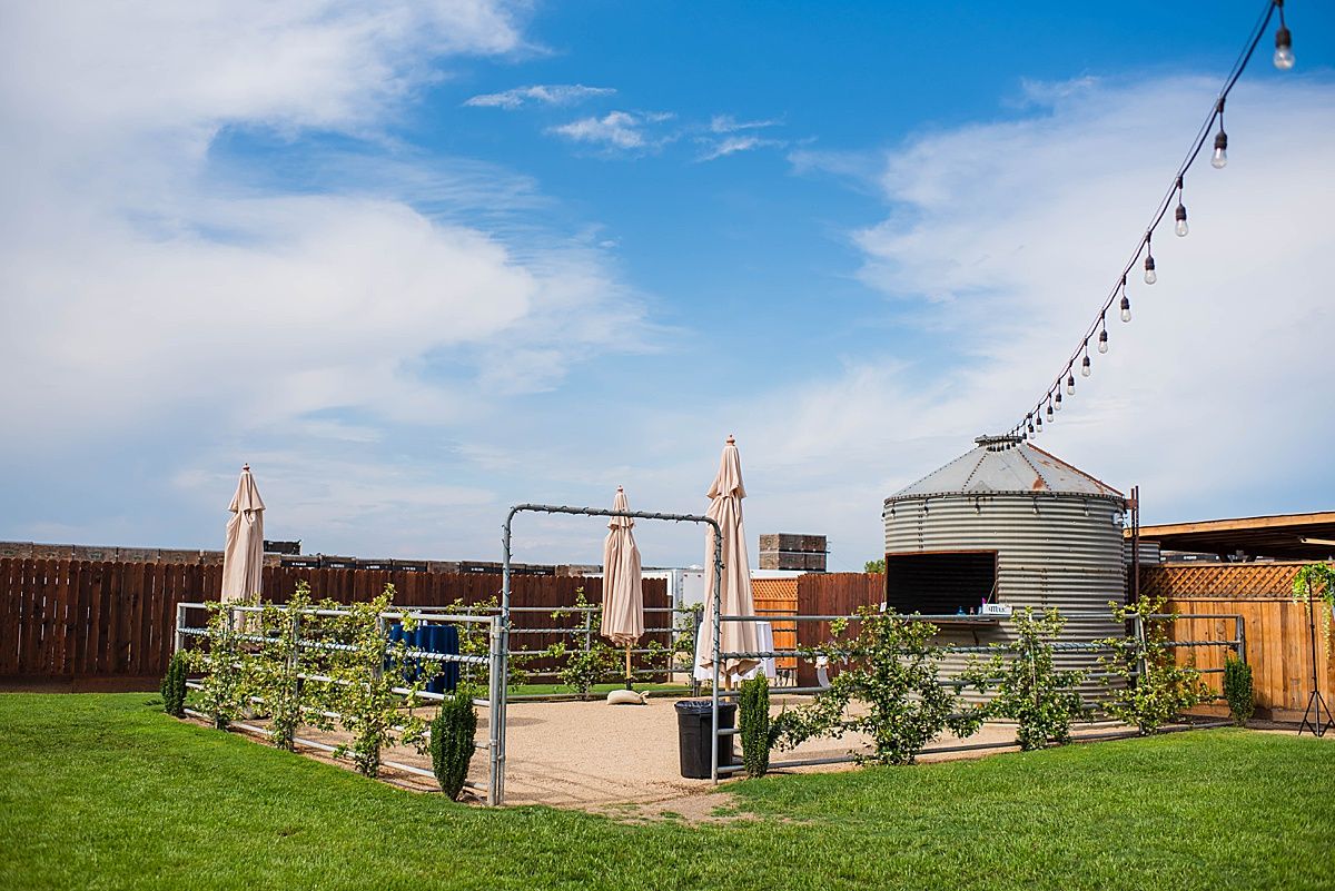 Central Valley California vineyard wine country destination wedding