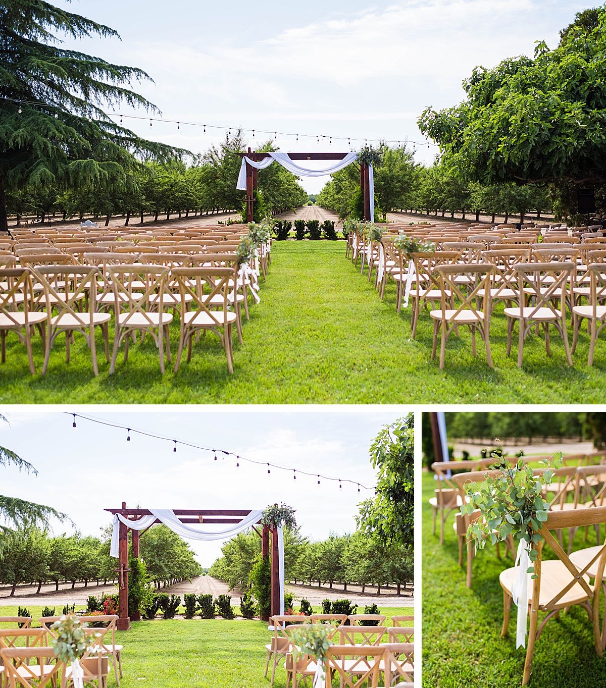 Central Valley California vineyard wine country destination wedding reception