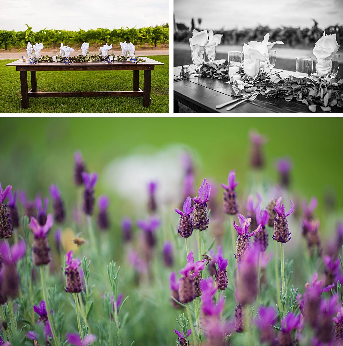Central Valley California vineyard wine country destination wedding reception