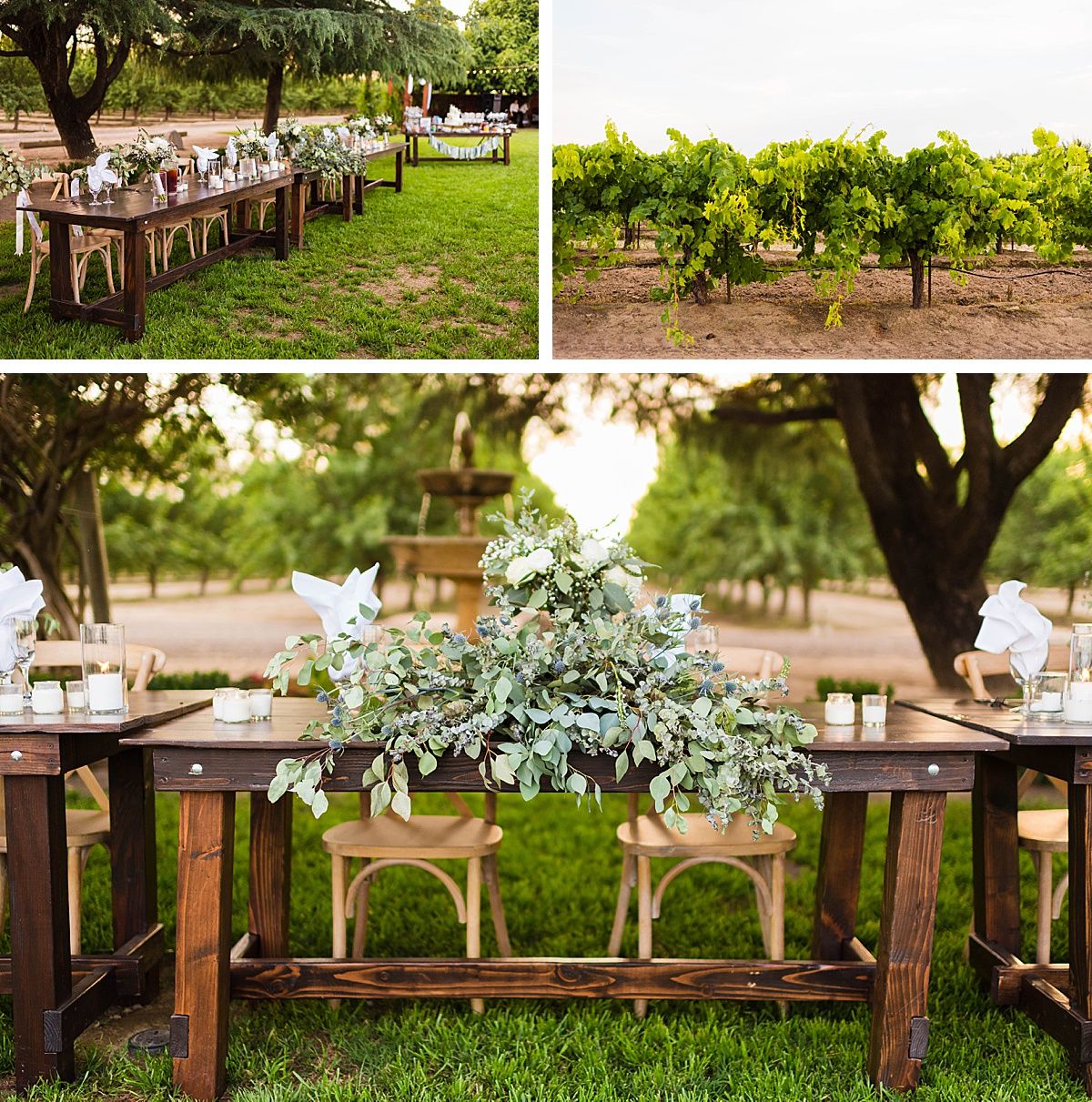 Central Valley California vineyard wine country destination wedding reception