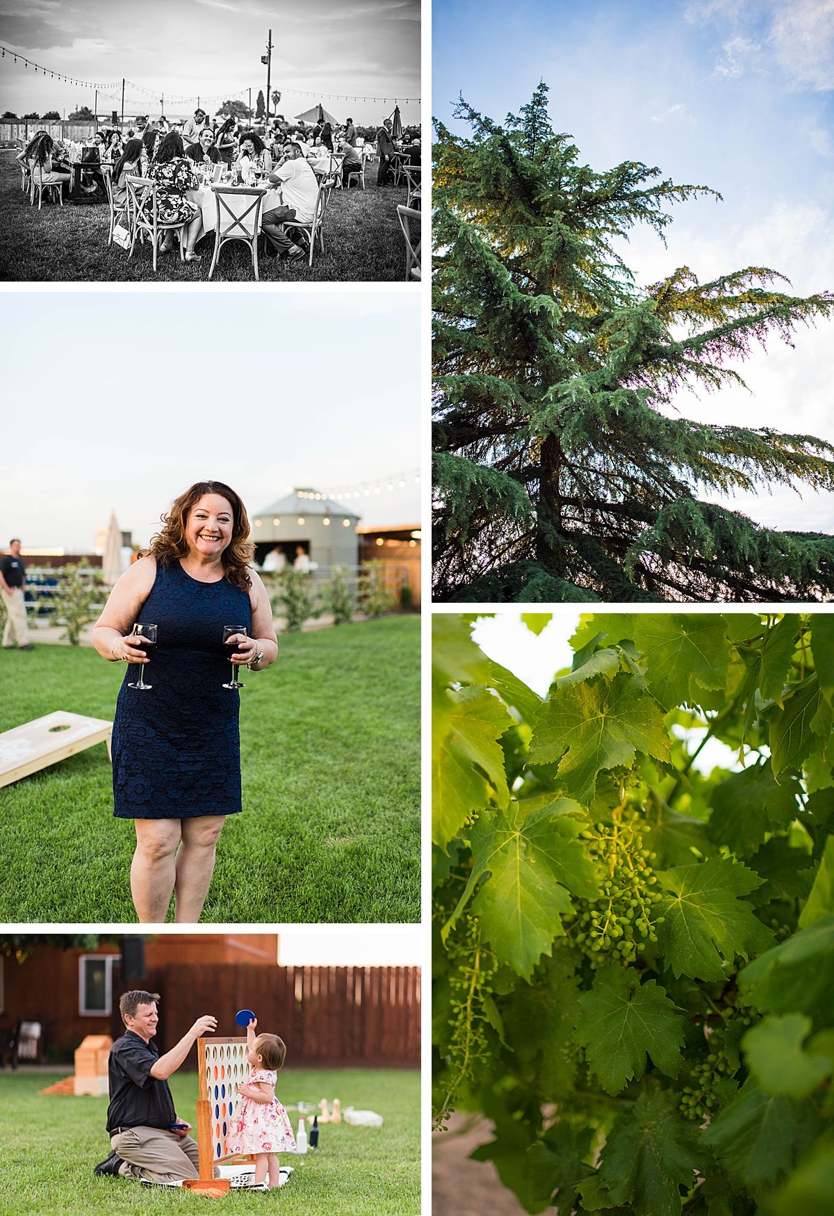 Central Valley California vineyard wine country destination wedding reception