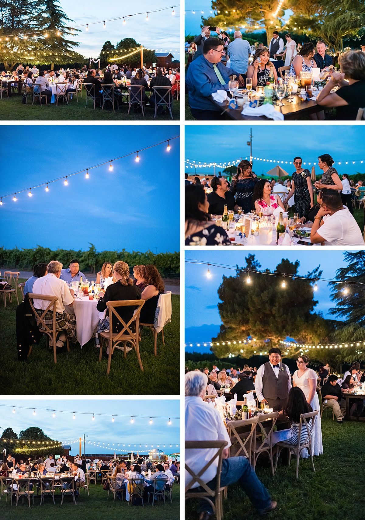 Central Valley California vineyard wine country destination wedding reception