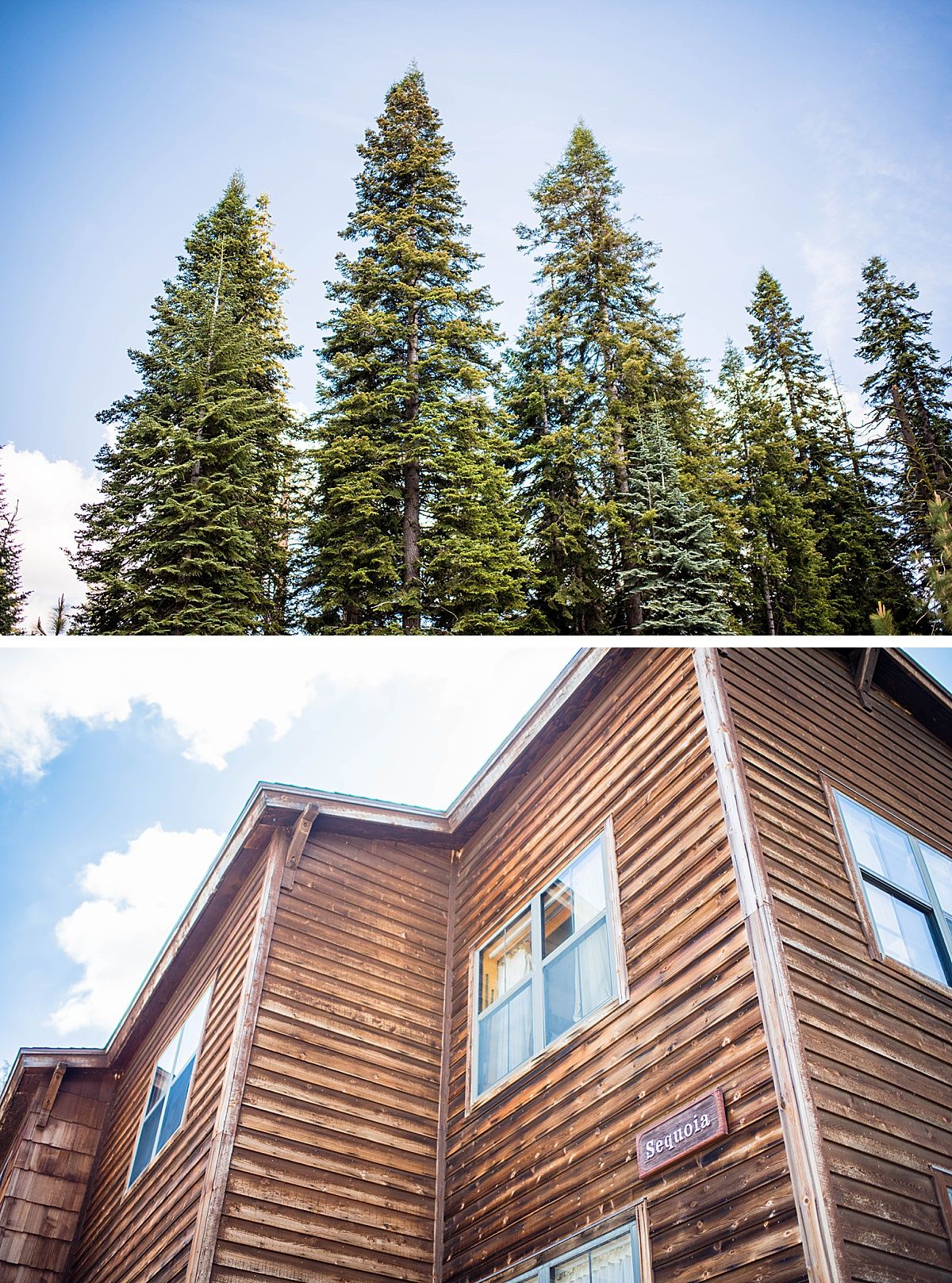 sequoia national wuksachi lodge rock wedding adventure destination