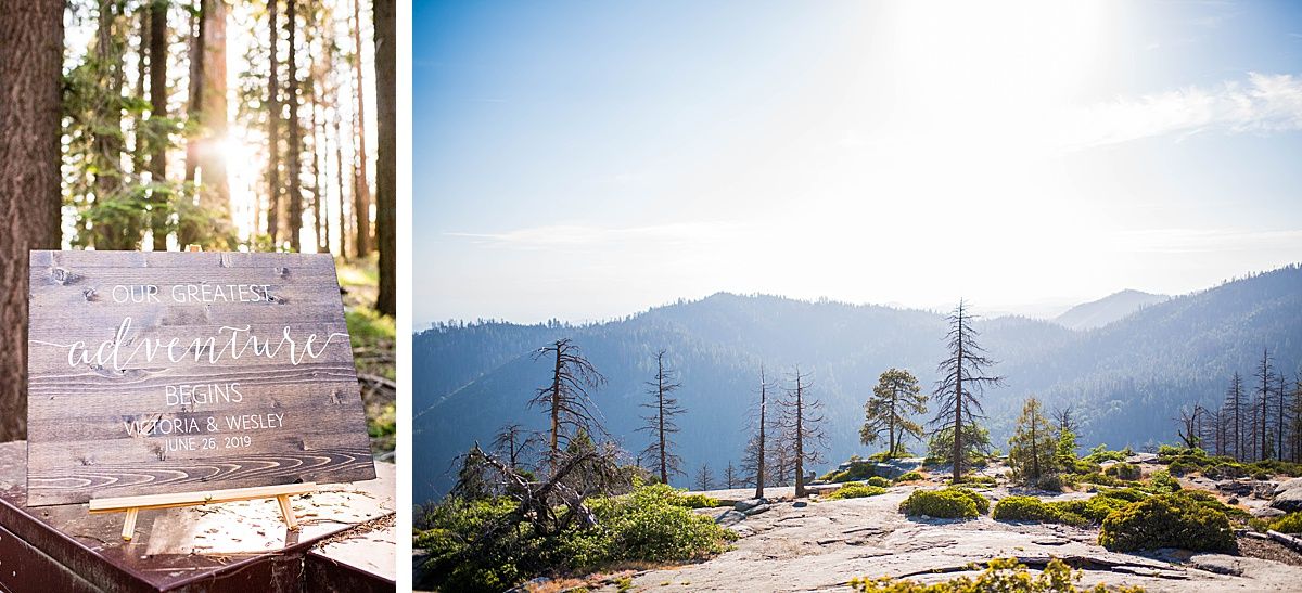 sequoia national beetle rock wedding adventure destination