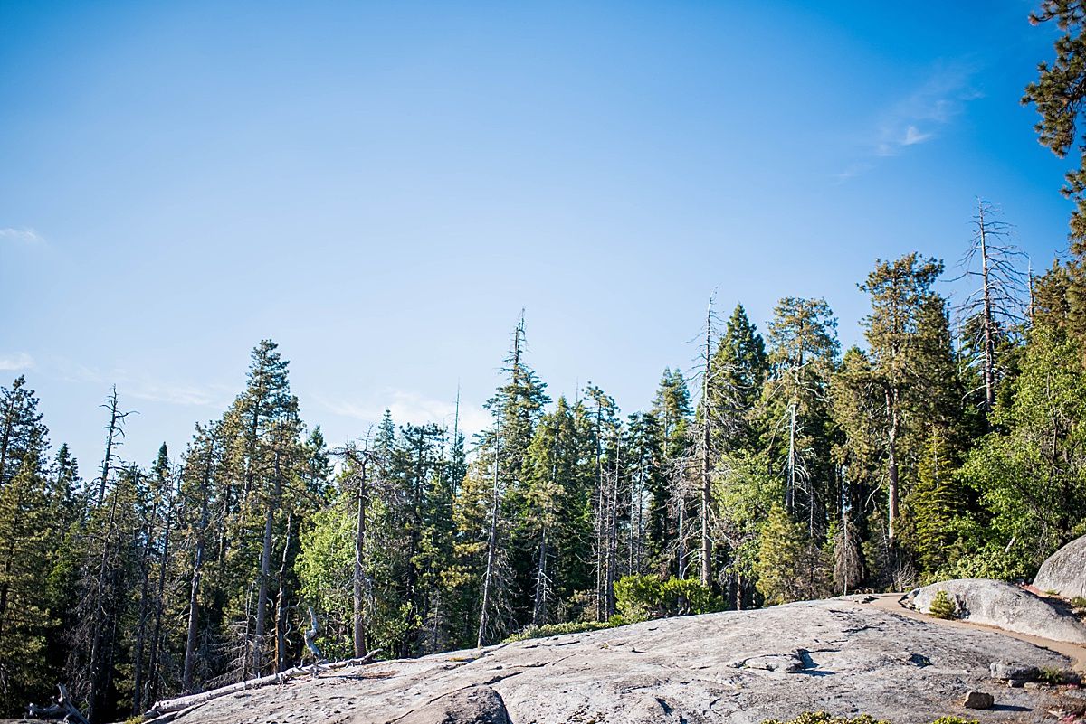 sequoia national beetle rock wedding adventure destination