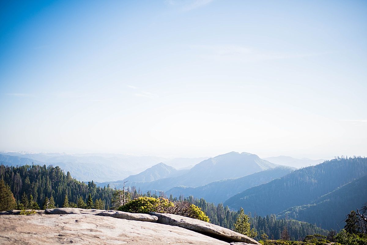 sequoia national beetle rock wedding adventure destination