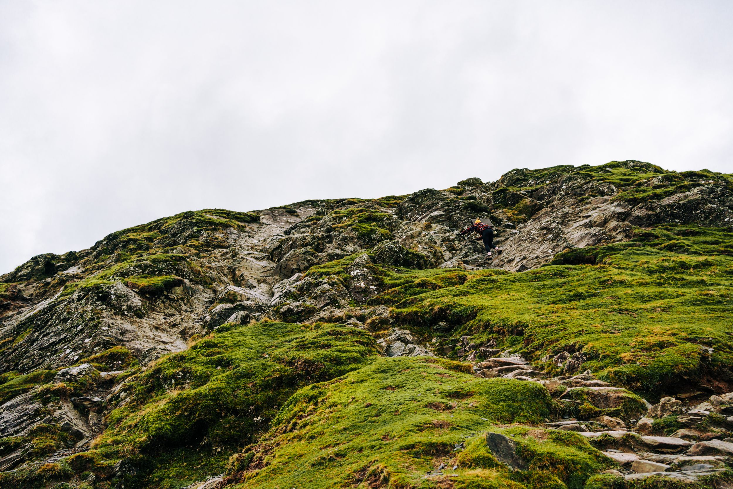 Small scramble, can you see Yvette?