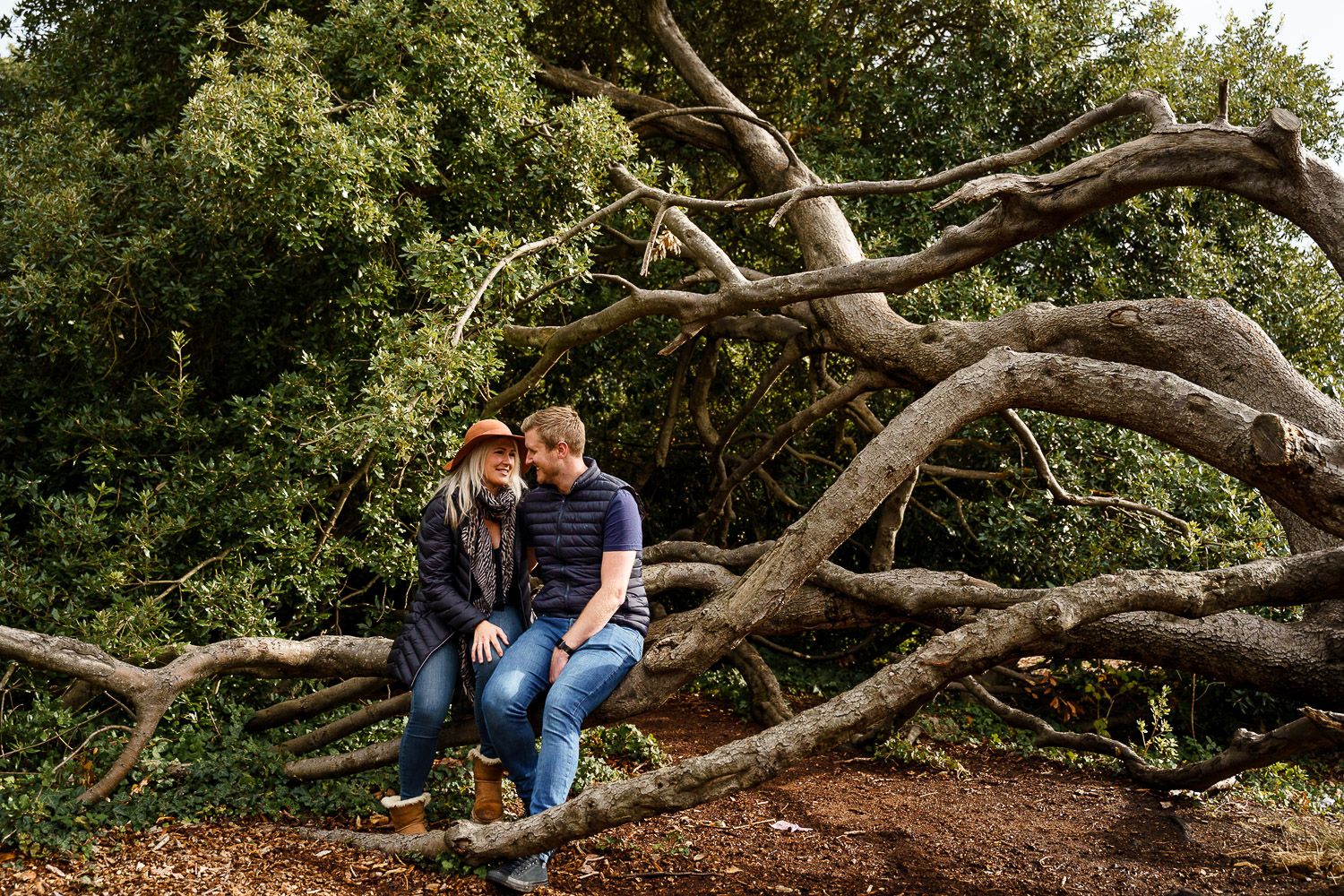 Romantic couple sit in the branches of a tree and cuddle. Katherine and her Camera engagement photoshoot.