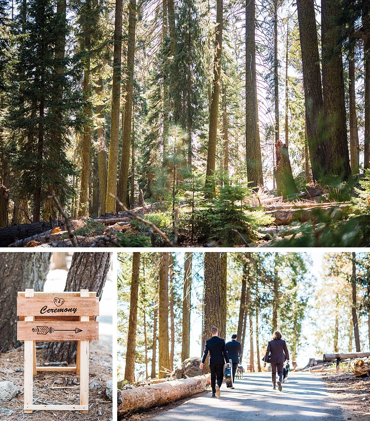 Sequoia National Park Central Valley California Three Rivers wedding