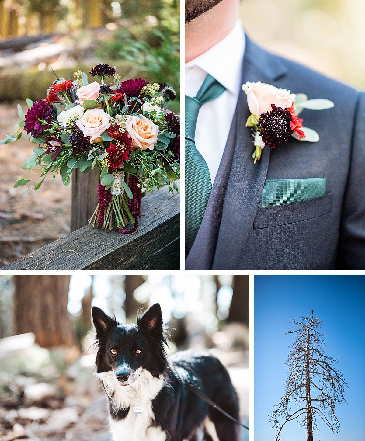 Sequoia National Park Central Valley California Three Rivers wedding