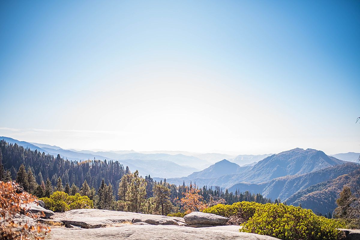 Sequoia National Park Central Valley California Three Rivers wedding