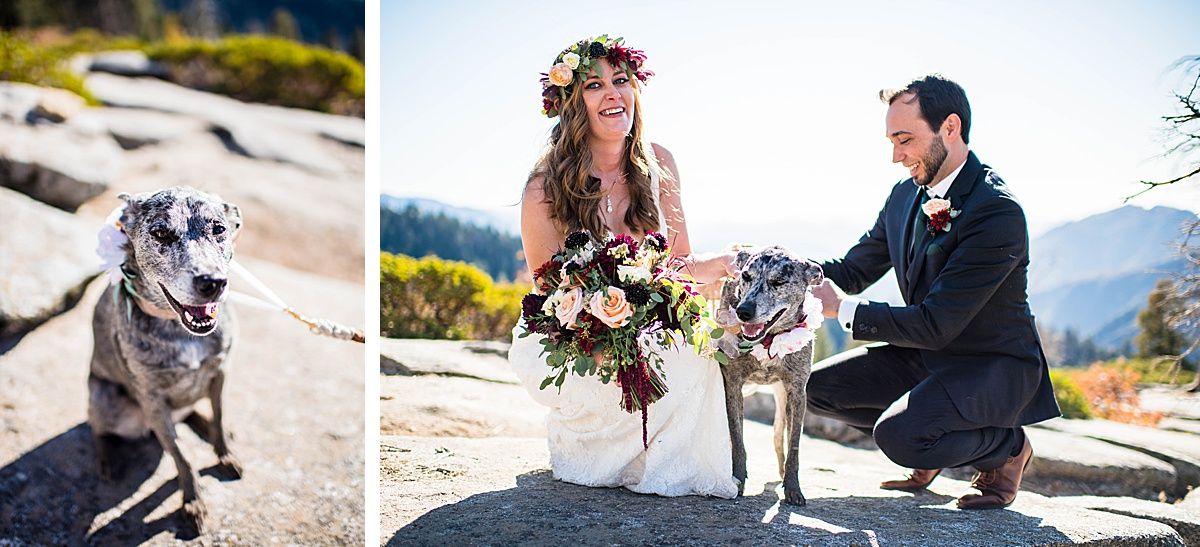 Sequoia National Park Central Valley California Three Rivers wedding