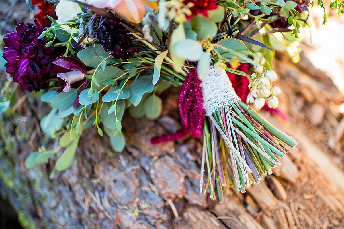Sequoia National Park Central Valley California Three Rivers wedding