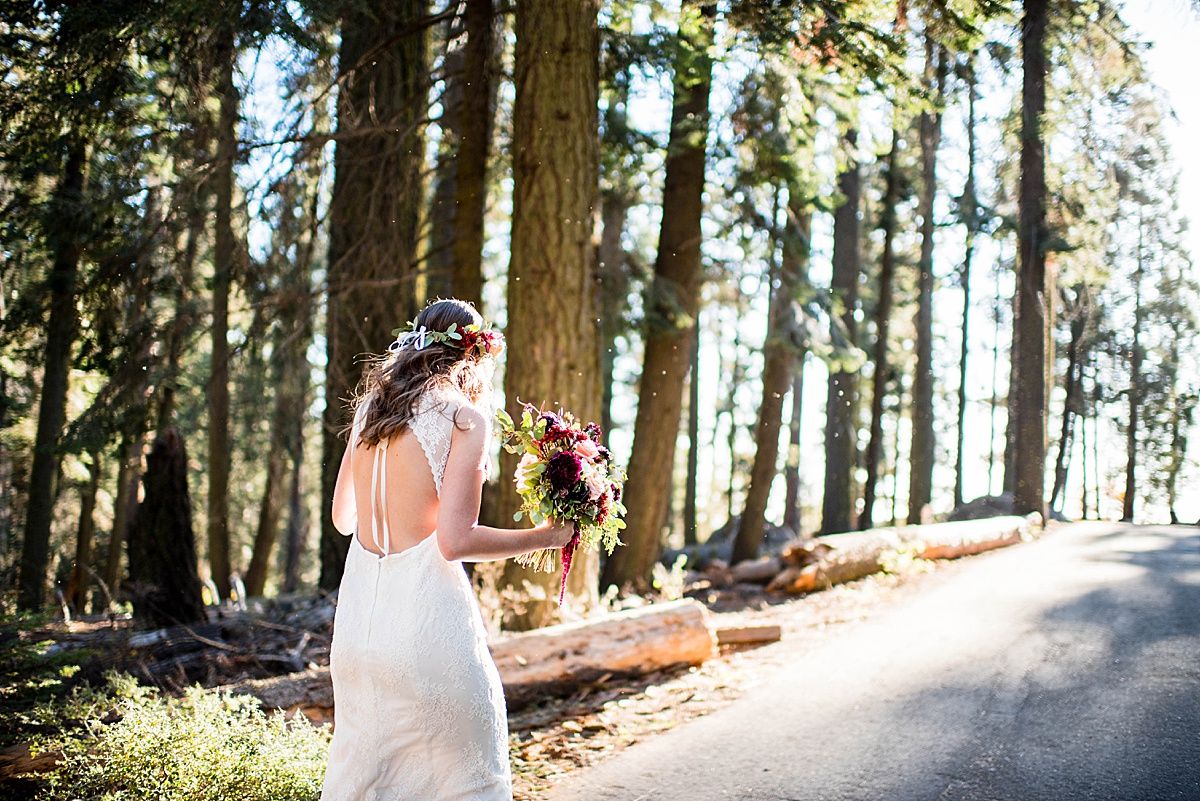 Sequoia National Park Central Valley California Three Rivers wedding