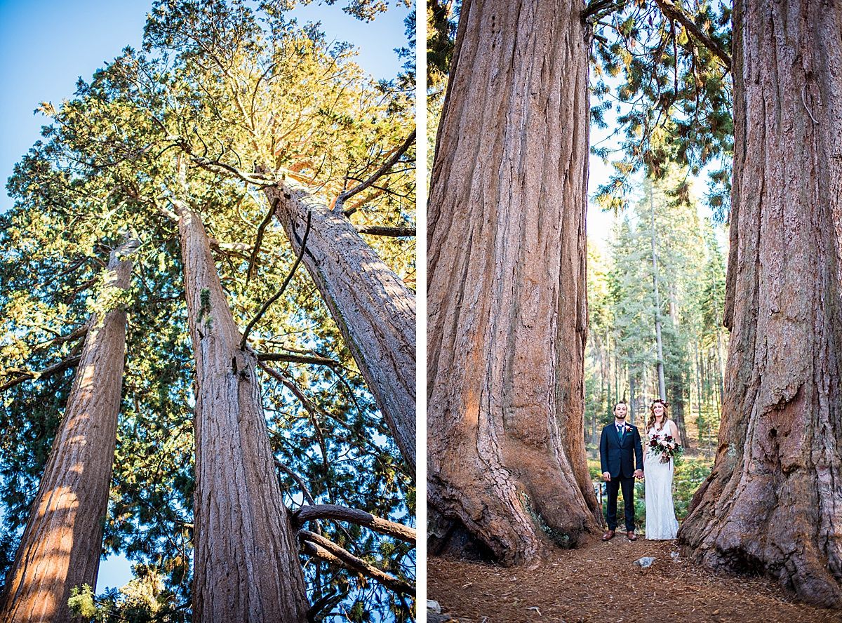 Sequoia National Park Central Valley California Three Rivers wedding
