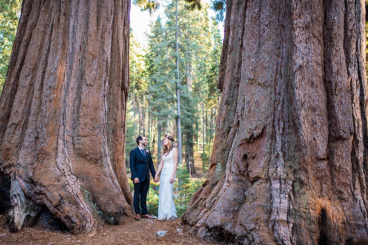 Sequoia National Park Central Valley California Three Rivers wedding