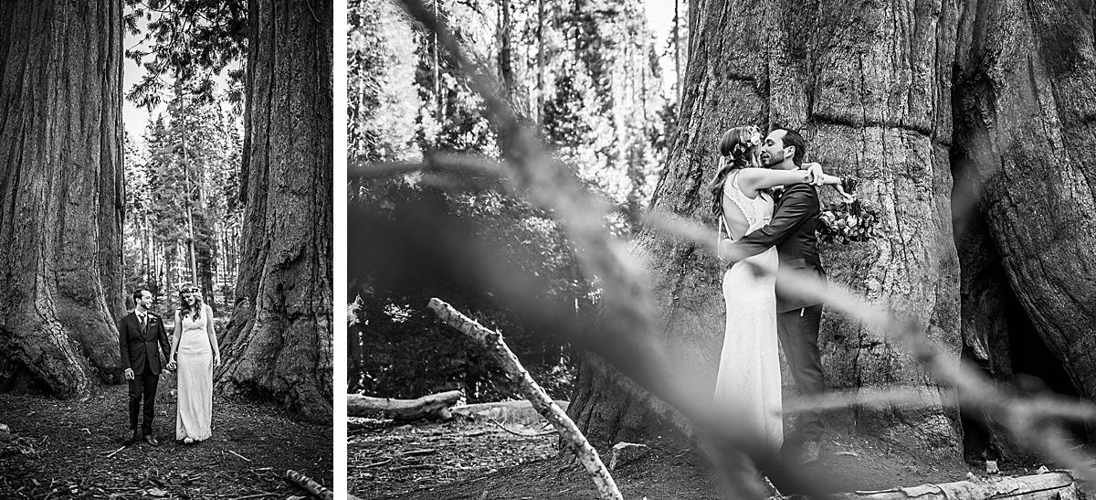 Sequoia National Park Central Valley California Three Rivers wedding'