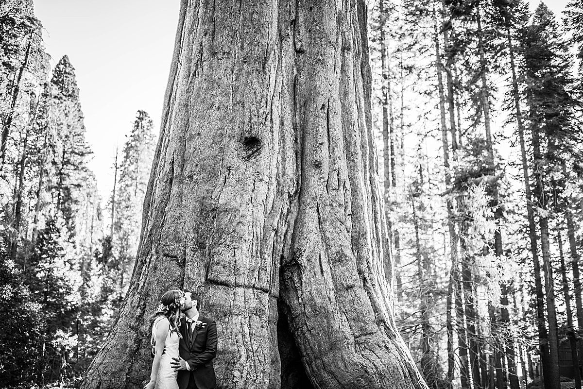 Sequoia National Park Central Valley California Three Rivers wedding