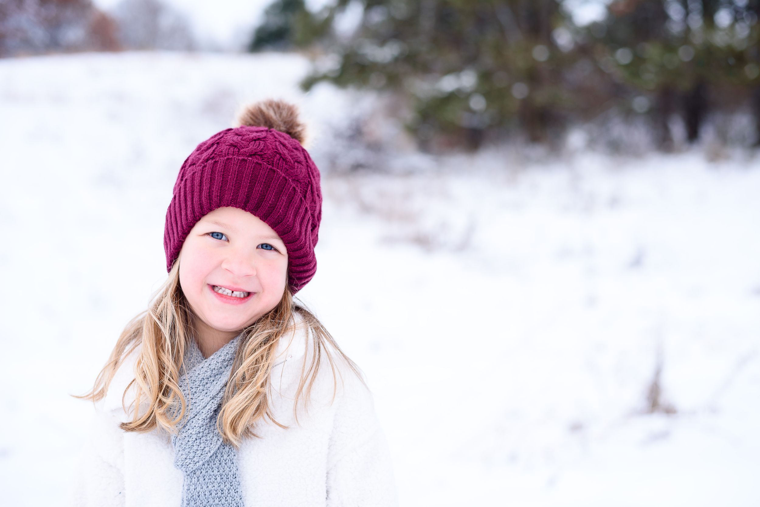 Stephanie Newman Photography